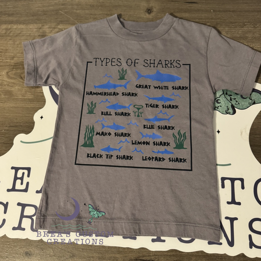 Types Of Sharks
