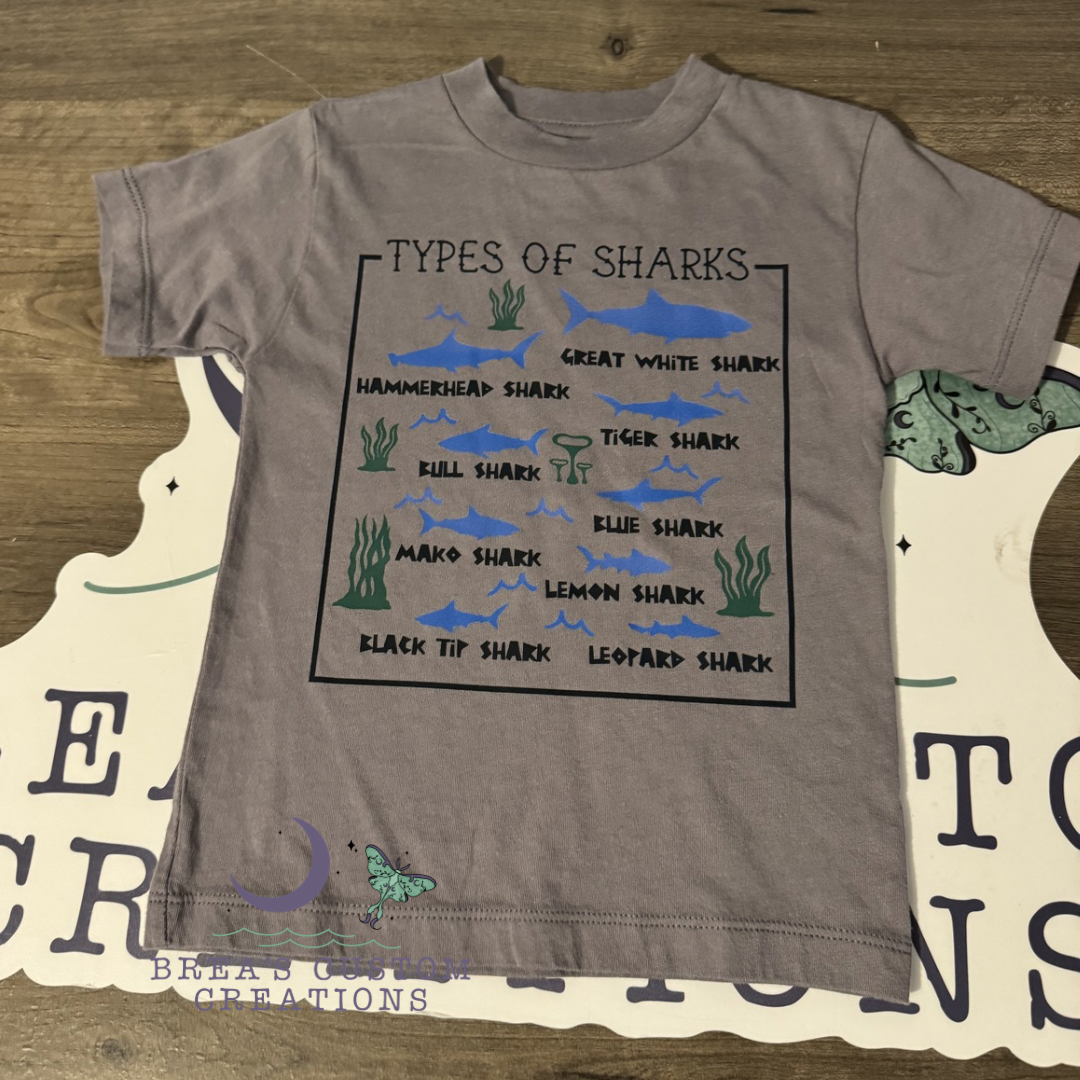 Types Of Sharks